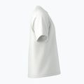 Футболка чоловіча Arcteryx Kragg Cotton Emblem Crew SS white light 11