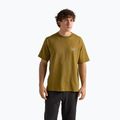 Футболка чоловіча Arcteryx Kragg Cotton Logo SS bracken