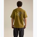Футболка чоловіча Arcteryx Kragg Cotton Logo SS bracken 3