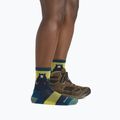 Шкарпетки жіночі Darn Tough Bear Town Micro Crew Cushion dark teal 2