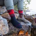 Шкарпетки чоловічі Darn Tough VanGrizzle Boot Sock Cushion moose black 5