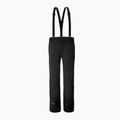 Штани лижні чоловічі Fischer Vancouver Short black