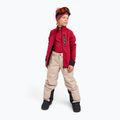 Комплект термобілизни дитячий Reima Lani cranberry 12