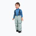 Штани лижні дитячі Reima Proxima stone green