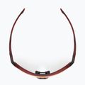 Окуляри сонцезахисні Rudy Project Thunder frozen bordeaux matte/multilaser red 6