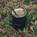 Кружка з нержавіючої сталі Fire-Maple Orca Yerbamate 200 мл 3