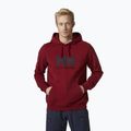 Кофта з капюшоном чоловіча Helly Hansen HH Logo Hoodie бордова 33977_215