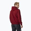 Кофта з капюшоном чоловіча Helly Hansen HH Logo Hoodie бордова 33977_215 2