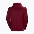 Кофта з капюшоном чоловіча Helly Hansen HH Logo Hoodie бордова 33977_215 5