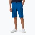 Чоловічі шорти Helly Hansen QD Cargo 11" глибокі фіордові шорти