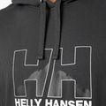 Кофта трекінгова чоловіча Helly Hansen Nord Graphic Pull Over сіра 62975_981 4