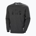Кофта чоловіча Helly Hansen Arctic Ocean Sweater сіра 30364_980 4