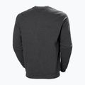 Кофта чоловіча Helly Hansen Arctic Ocean Sweater сіра 30364_980 5