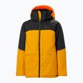 Куртка лижна дитяча Helly Hansen Summit жовта 41761_328