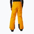 Штани лижні дитячі Helly Hansen Elements жовті 41765_328 7