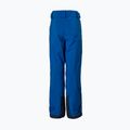 Штани лижні дитячі Helly Hansen Elements блакитні 41765_606 11