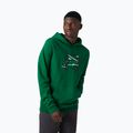 Кофта трекінгова чоловіча Helly Hansen F2F Organic Cotton Hoodie зелена 62934_486 3