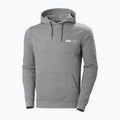 Кофта трекінгова чоловіча Helly Hansen F2F Organic Cotton сіра 62934_855