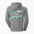 Кофта трекінгова чоловіча Helly Hansen F2F Organic Cotton сіра 62934_855 2