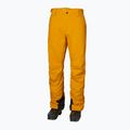Штани лижні чоловічі Helly Hansen Legendary Insulated жовті 65704_328 5