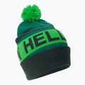 Шапка Helly Hansen Ridgeline зелена 67150_495