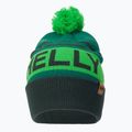 Шапка Helly Hansen Ridgeline зелена 67150_495 2