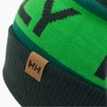 Шапка Helly Hansen Ridgeline зелена 67150_495 3