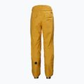 Штани лижні чоловічі Helly Hansen Sogn Cargo жовті 65673_328 7