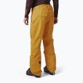 Штани лижні чоловічі Helly Hansen Sogn Cargo жовті 65673_328 2