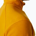 Кофта вітрильна чоловіча Helly Hansen Hp 1/2 Zip Pullover cloudberry 4