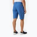 Шорти для вітрильного спорту чоловічі Helly Hansen HH QD Cargo 11" блакитні 54154_636 2