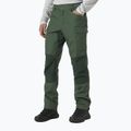 Штани трекінгові чоловічі Helly Hansen Vandre Tur зелені 62698_476