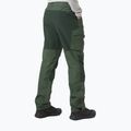 Штани трекінгові чоловічі Helly Hansen Vandre Tur зелені 62698_476 2