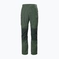 Штани трекінгові чоловічі Helly Hansen Vandre Tur зелені 62698_476 6