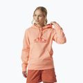 Кофта трекінгова жіноча Helly Hansen Nord Graphic Pullover Hoodie помаранчева 62981_058