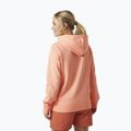 Кофта трекінгова жіноча Helly Hansen Nord Graphic Pullover Hoodie помаранчева 62981_058 2