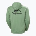 Кофта чоловіча Helly Hansen Yu Hoodie 2.0 jade 2.0 2