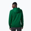 Чоловічий трекінговий світшот Helly Hansen F2F Organic Cotton Hoodie малахітовий 2