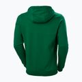 Чоловічий трекінговий світшот Helly Hansen F2F Organic Cotton Hoodie малахітовий 5