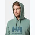 Чоловіча толстовка з логотипом Helly Hansen HH Кактус 3