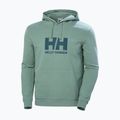 Чоловіча толстовка з логотипом Helly Hansen HH Кактус 5