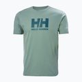 Чоловіча футболка Helly Hansen HH Logo cactus 4