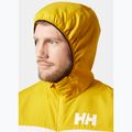 Чоловіча вітровка Helly Hansen Salt Striped Windbreaker вітрильна куртка золота лихоманка 3