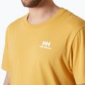 Чоловіча пісочна футболка Helly Hansen Nord Graphic 3