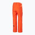 Чоловічі лижні штани Helly Hansen Sogn Cargo cherry tomato 2