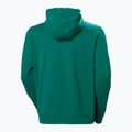 Чоловіче худі Helly Hansen HH Logo Hoodie 2.0 смарагдове 6