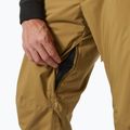Штани лижні чоловічі Helly Hansen Legendary Insulated lynx 4