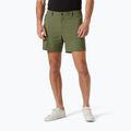 Трекінгові шорти Helly Hansen Move Quick-Dry 6" lav green