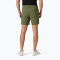 Трекінгові шорти Helly Hansen Move Quick-Dry 6" lav green 2
