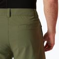 Трекінгові шорти Helly Hansen Move Quick-Dry 6" lav green 4